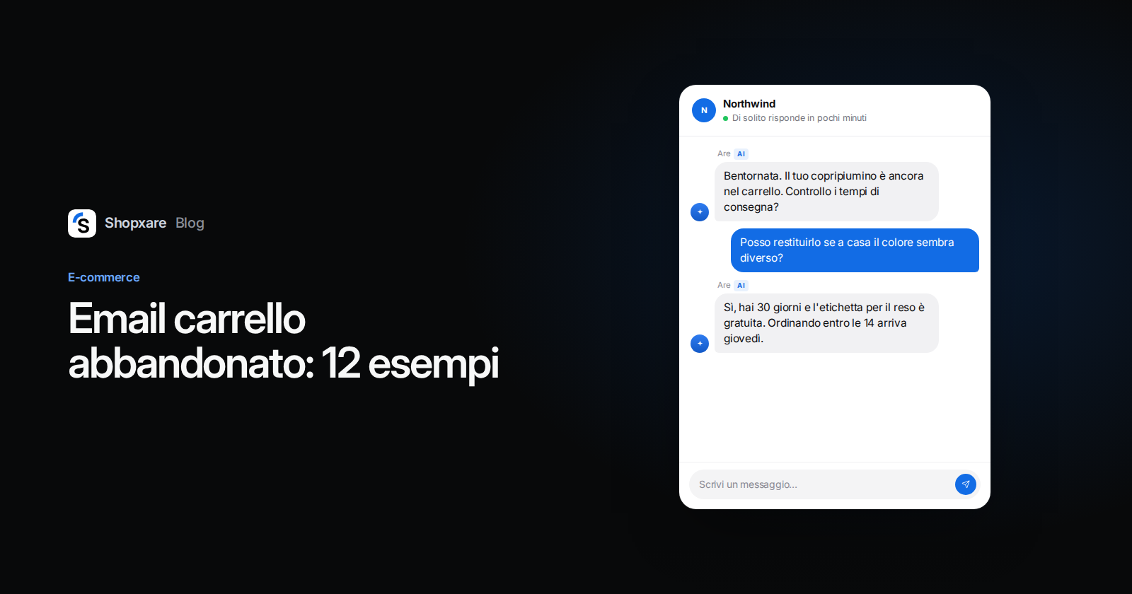 Copertina: esempi di email per il carrello abbandonato, con una chat in cui una cliente chiede dei resi prima di ordinare